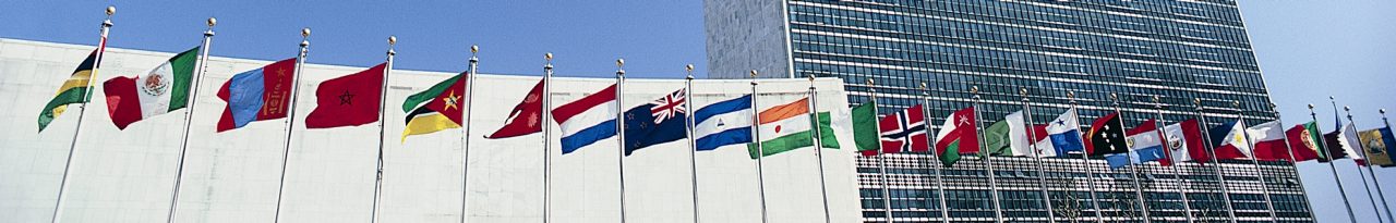 UN Flags